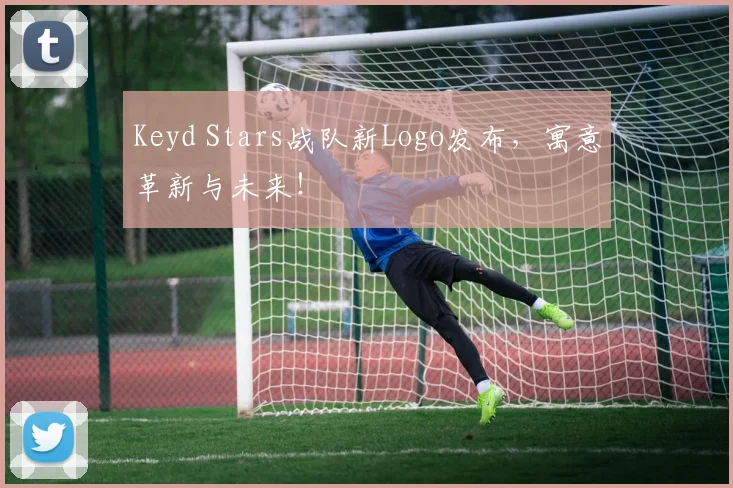 Keyd Stars战队新Logo发布，寓意革新与未来！