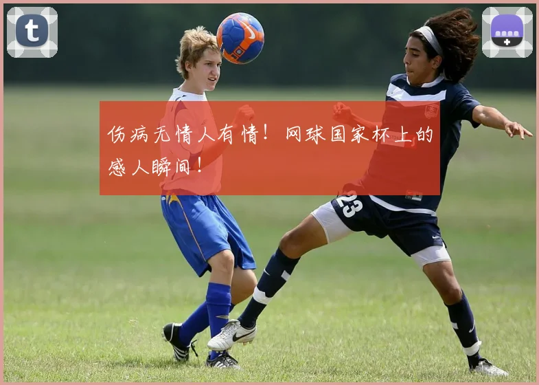 伤病无情人有情！网球国家杯上的感人瞬间！