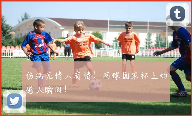 伤病无情人有情！网球国家杯上的感人瞬间！