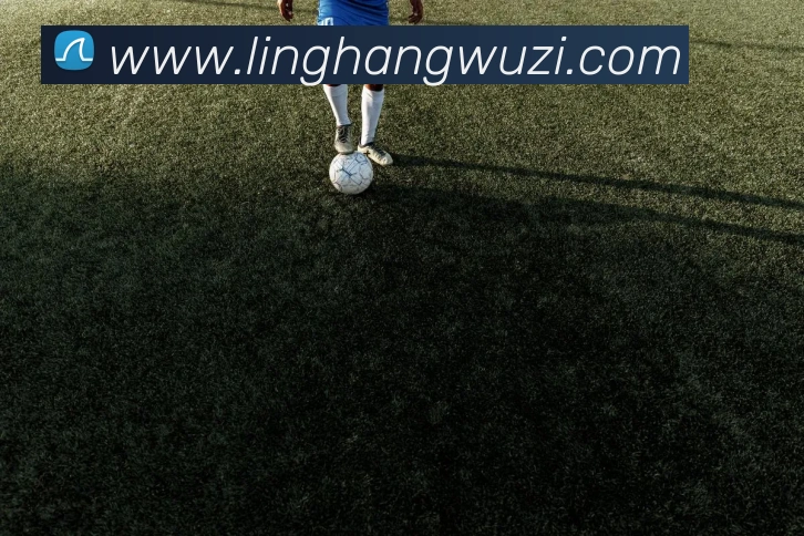 世界杯官网，世界杯买输赢APP 封面图